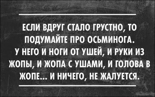 Прикольные Аткрытки