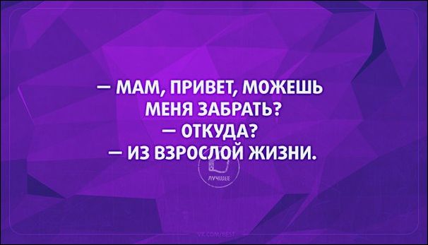 Прикольные Аткрытки