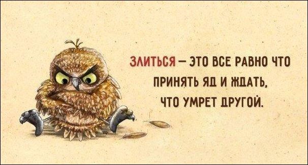 Смешные Аткрытки