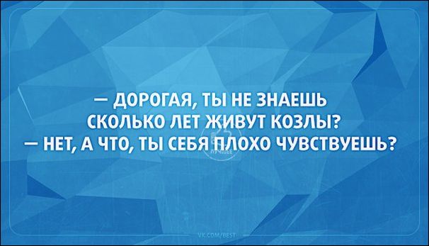 Смешные Аткрытки