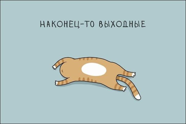 Смешные Аткрытки