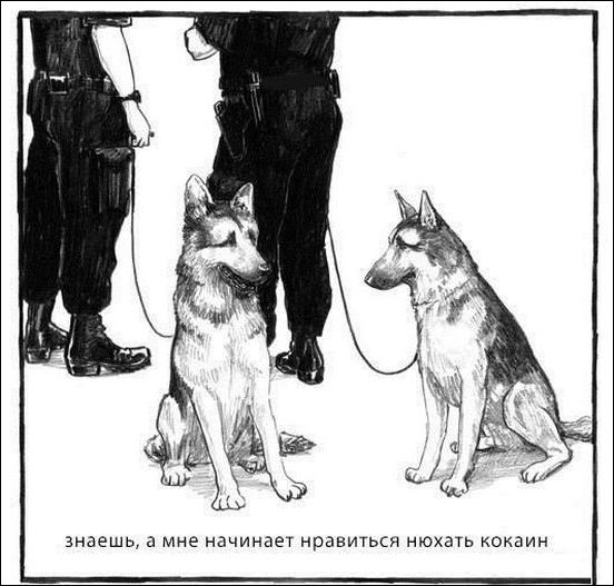 Комиксы и карикатуры