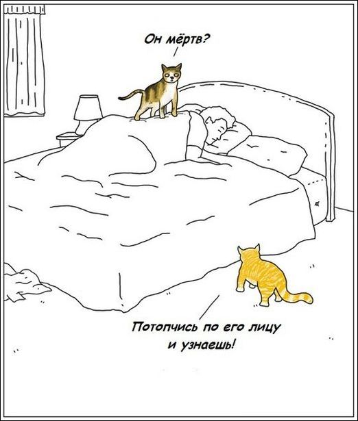 Комиксы и карикатуры