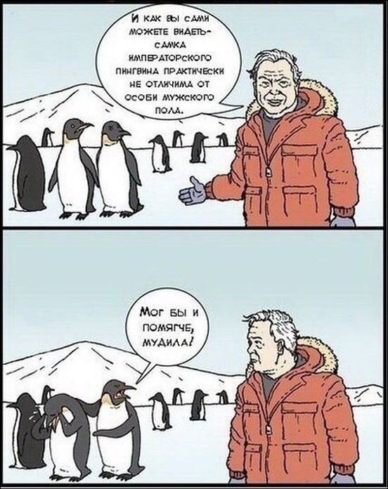 Комиксы и карикатуры