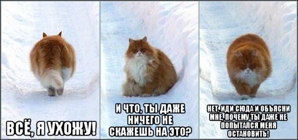 Комиксы и карикатуры