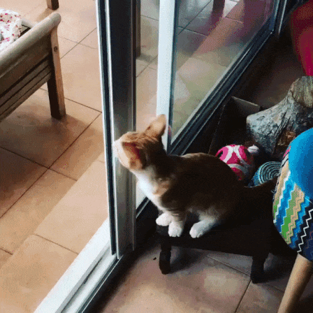 Прикольные гифки