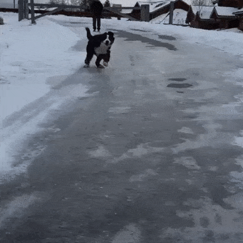 Прикольные гифки