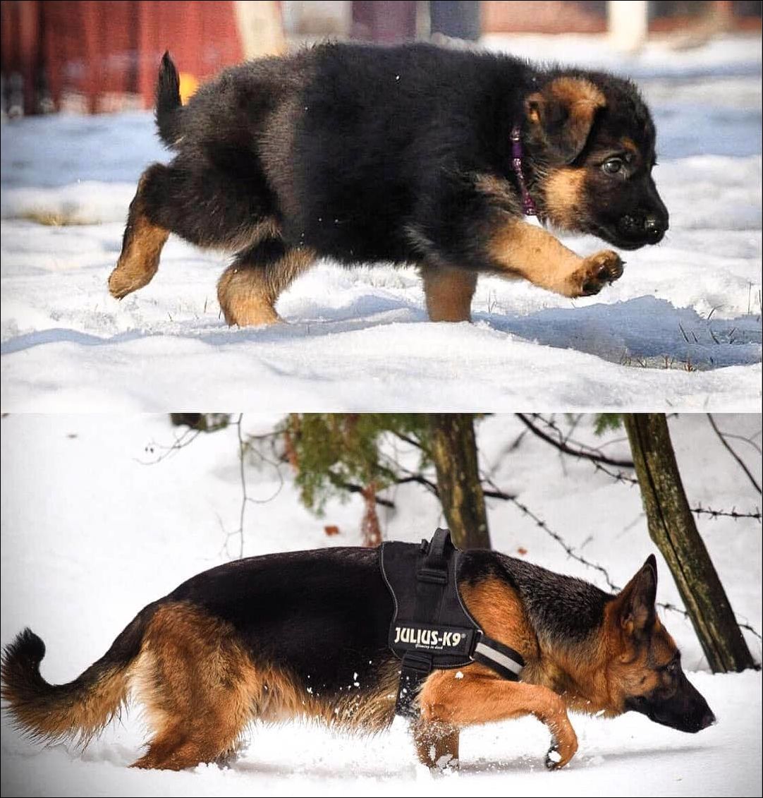 фото приколы