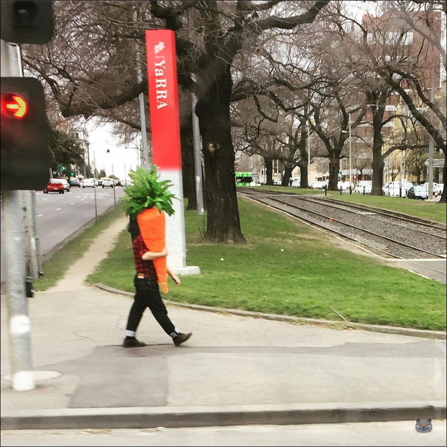 фото приколы