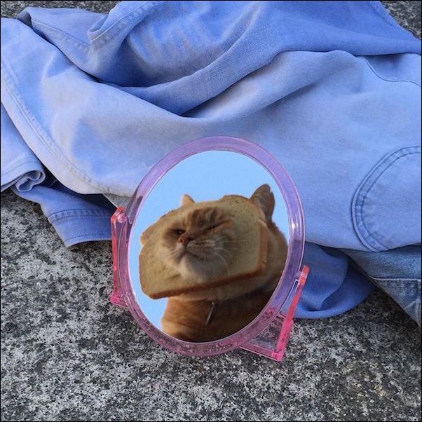 фото приколы