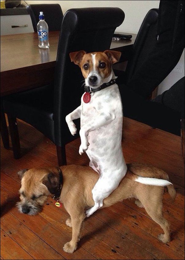 фото приколы