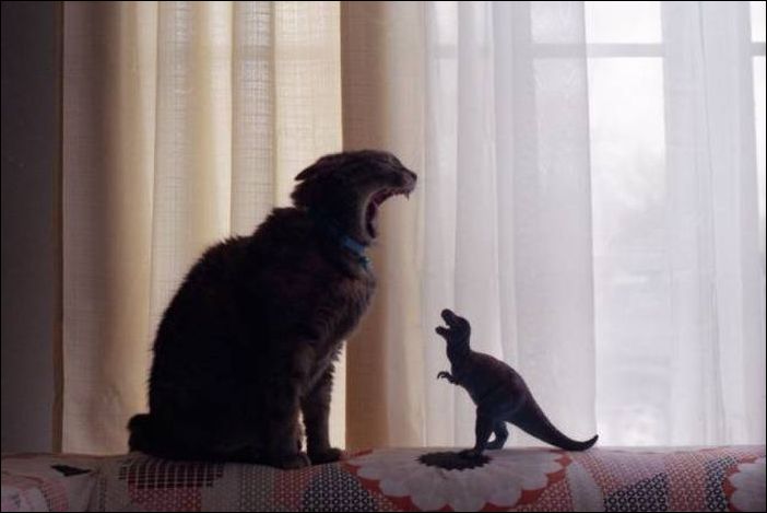 фото приколы