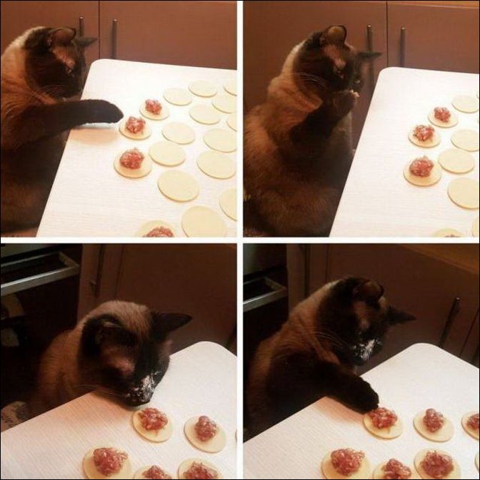 фото приколы