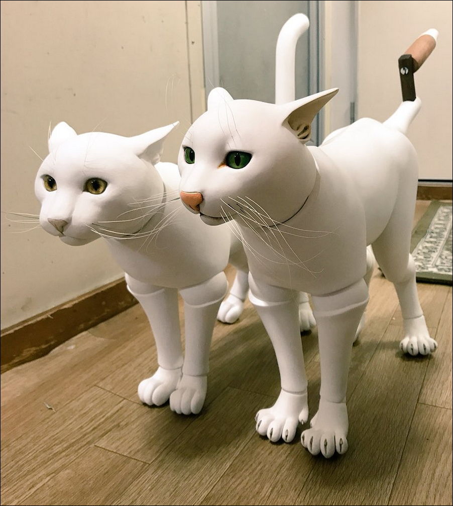 фотоприколы