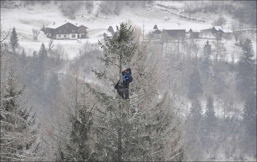 фотоприколы