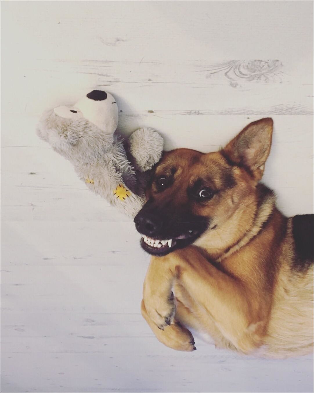 фотоприколы