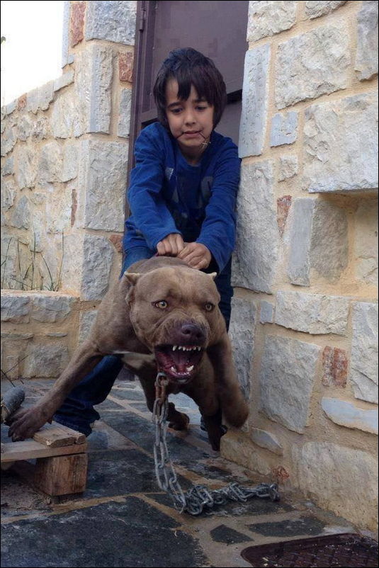 фотоприколы