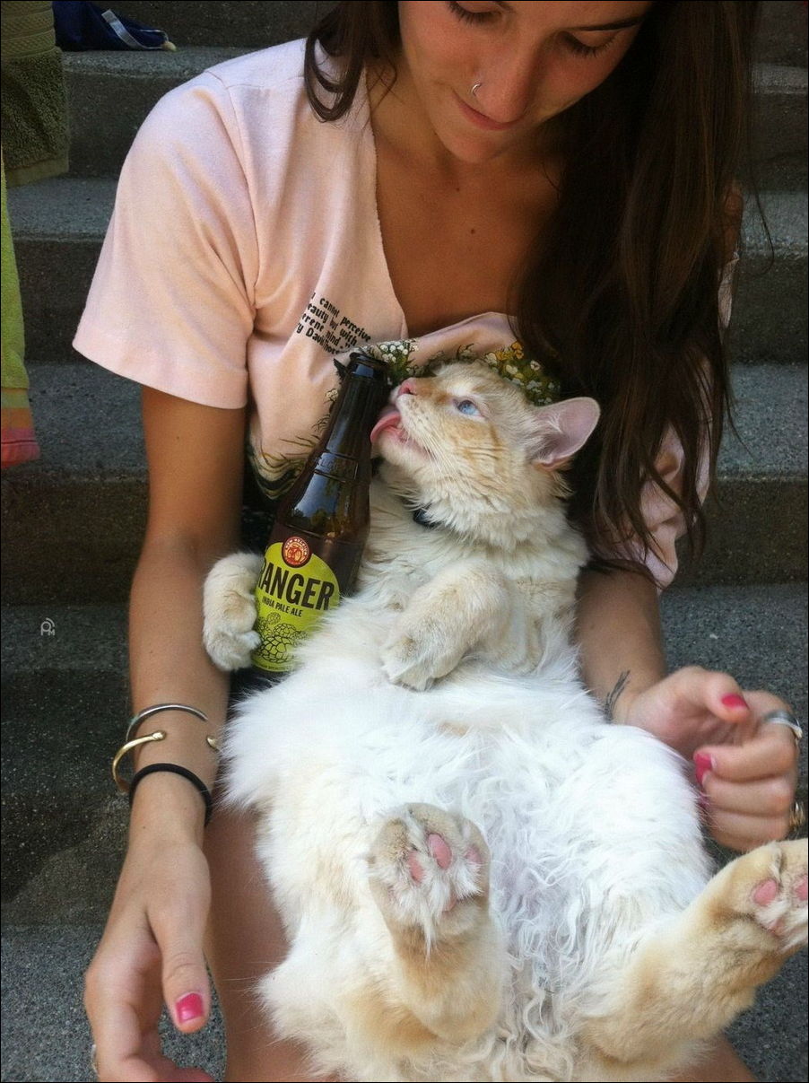 фотоприколы