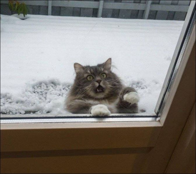 фотоприколы