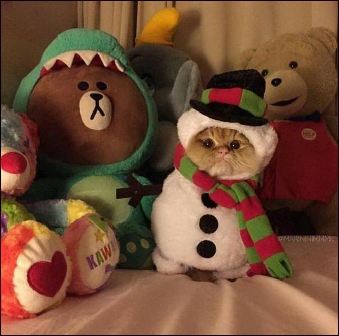 фотоприколы