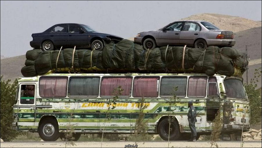 фото приколы