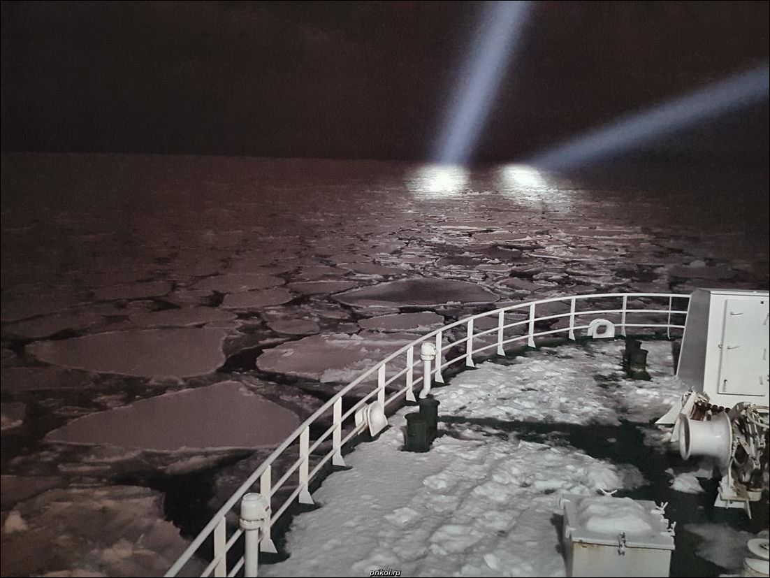 фото приколы