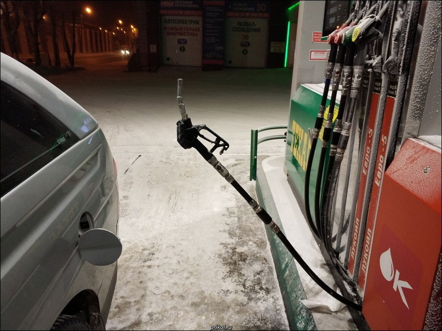 фото приколы