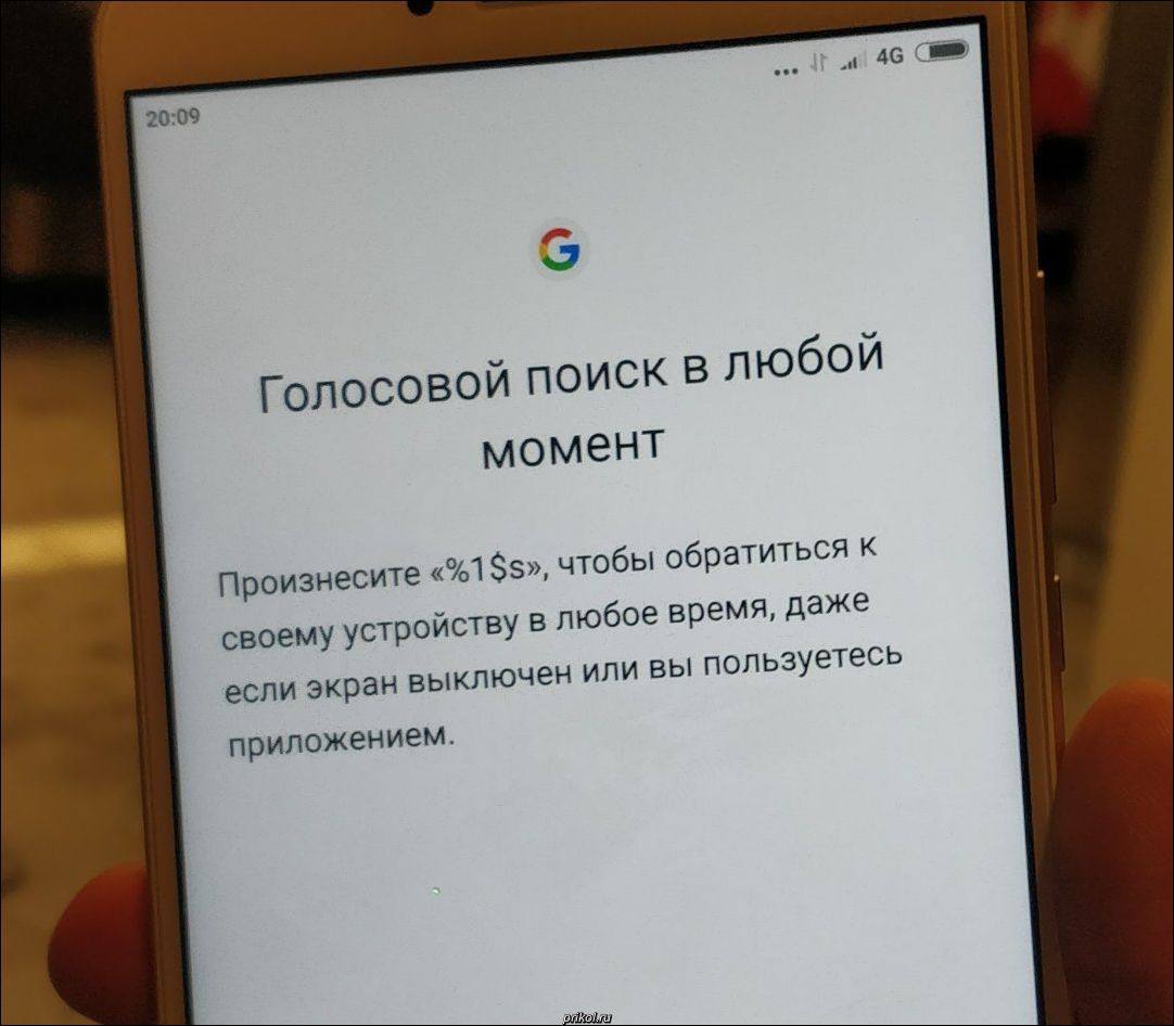 фото приколы