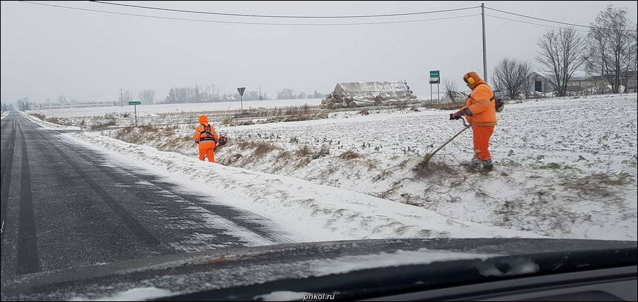 фото приколы