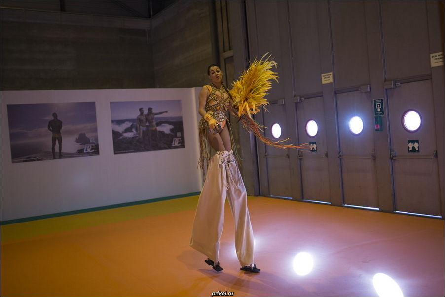 фото приколы