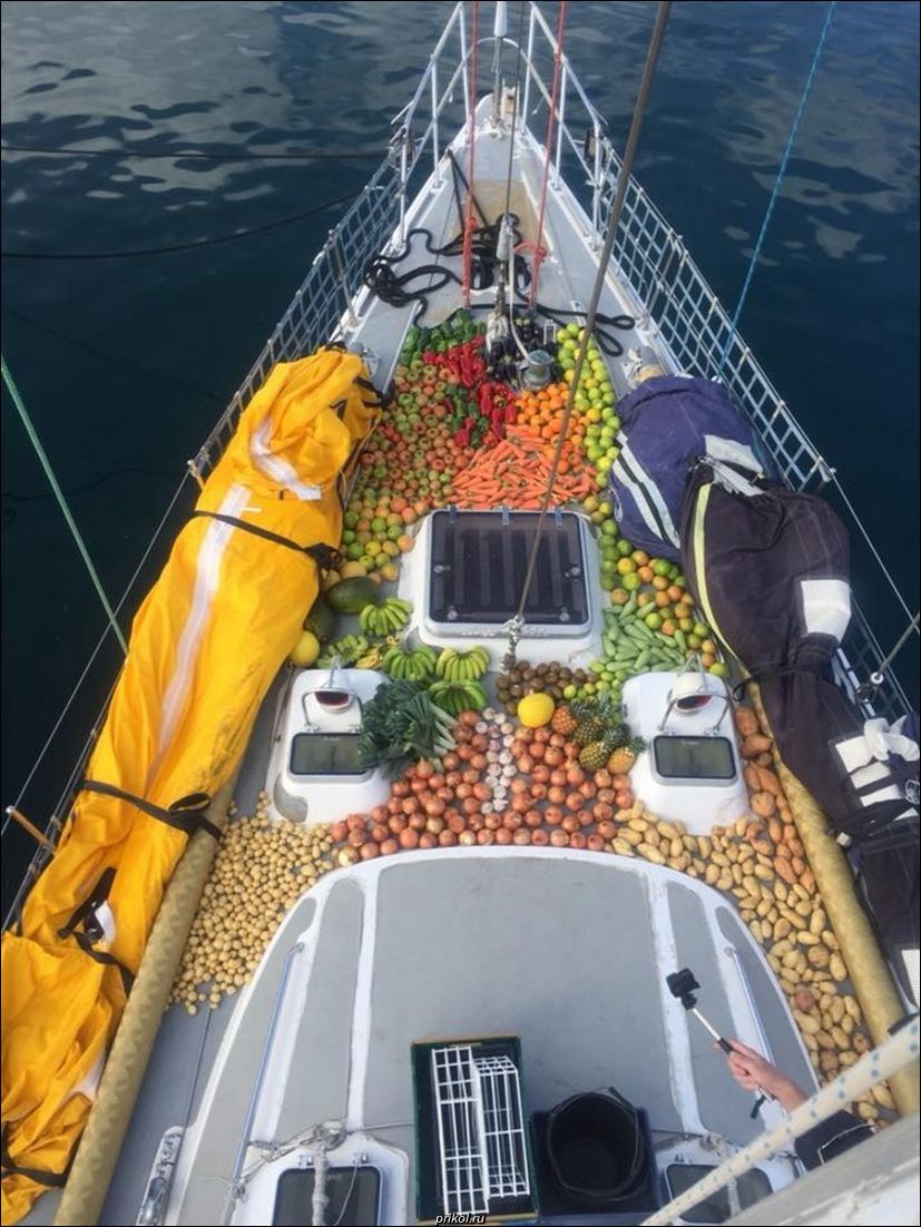 фото приколы