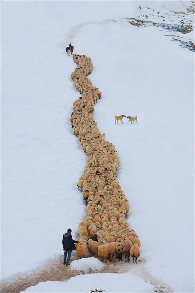 фото приколы