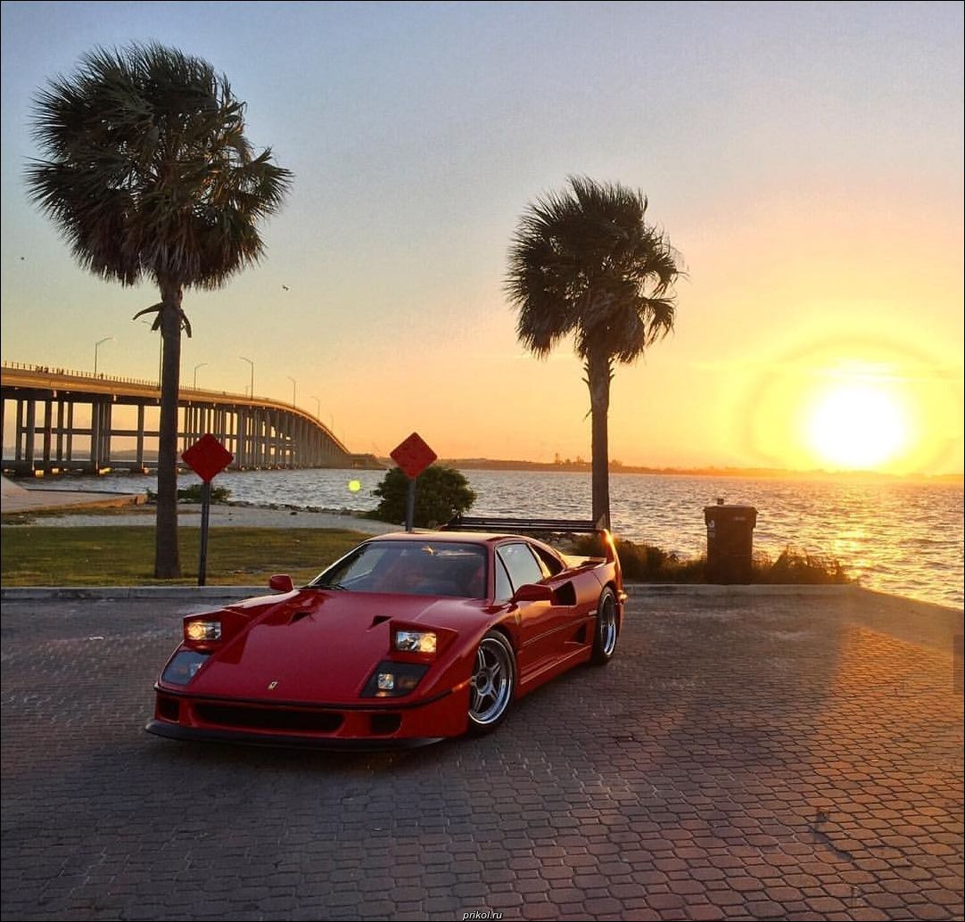 фото приколы