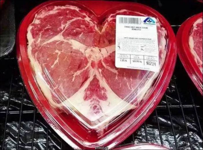 фото приколы