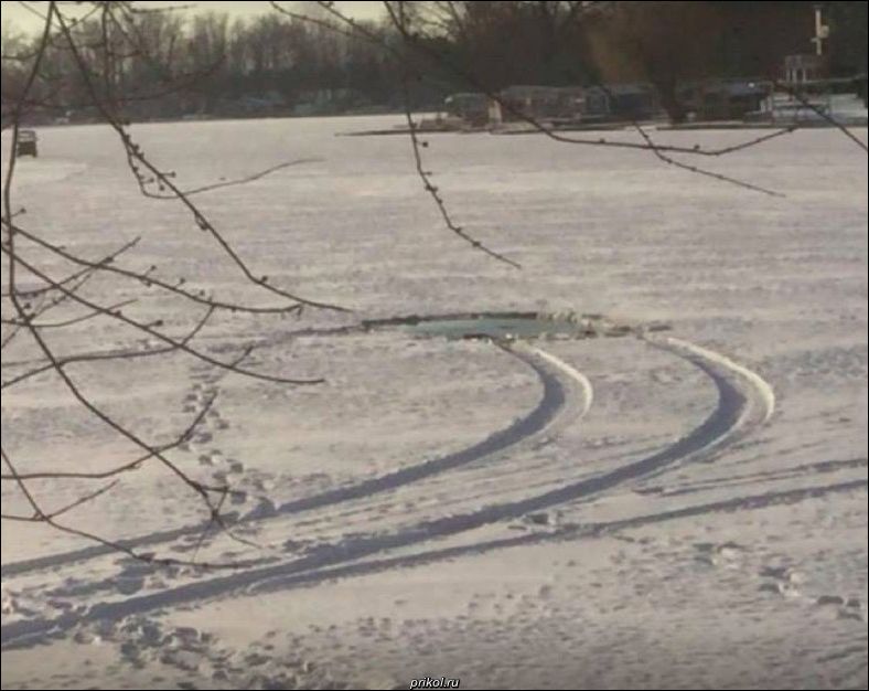 фото приколы