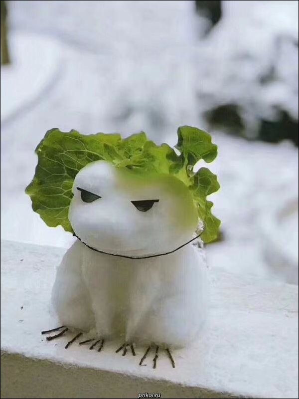 фото приколы