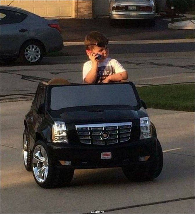 фото приколы