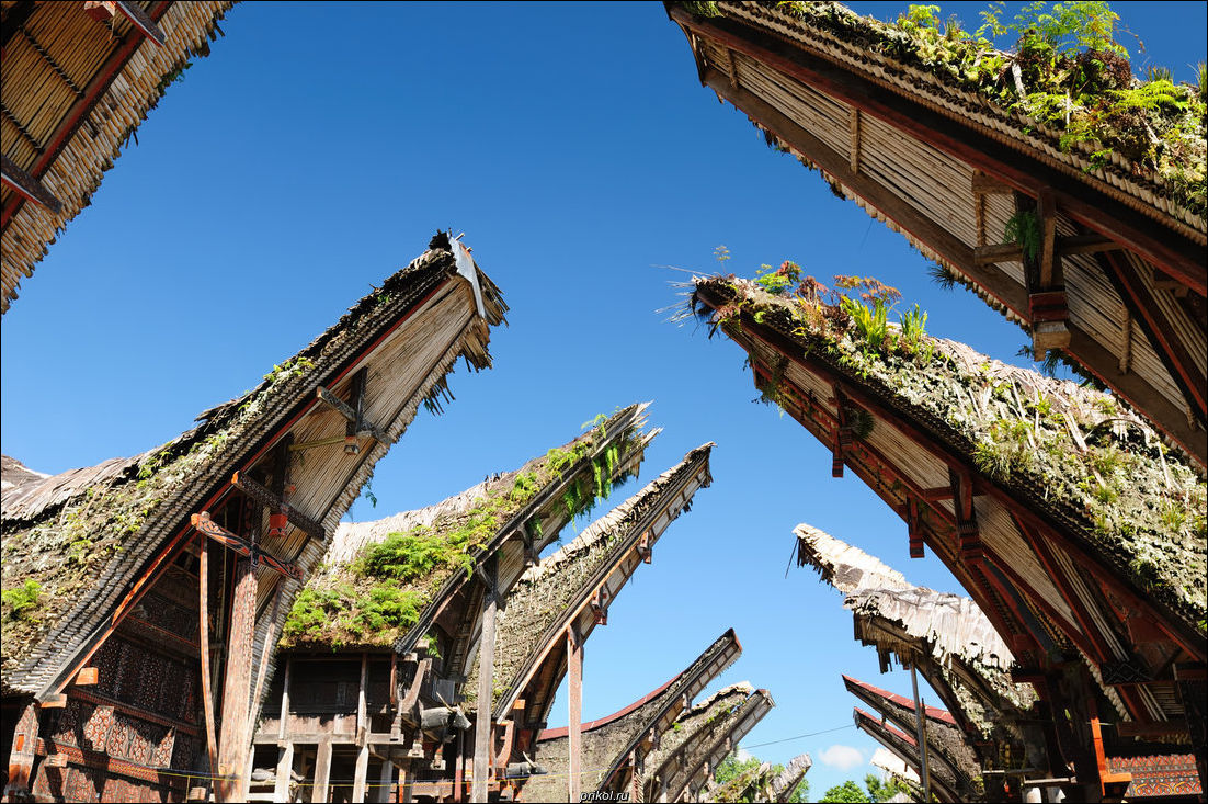 фото приколы