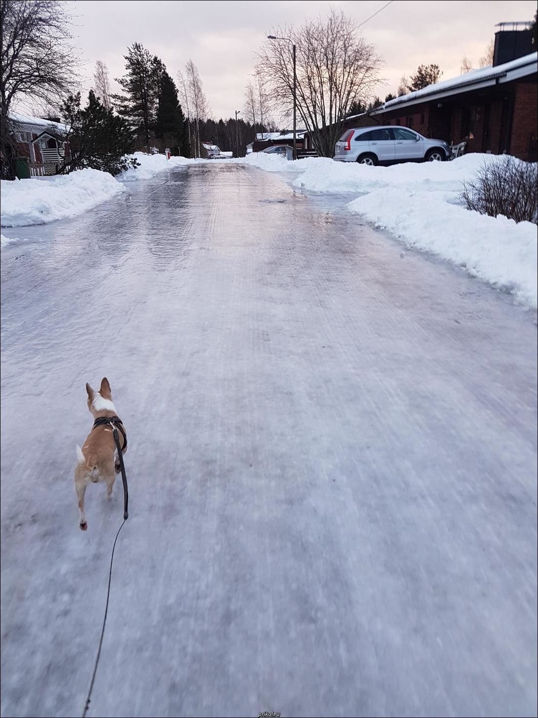 фото приколы