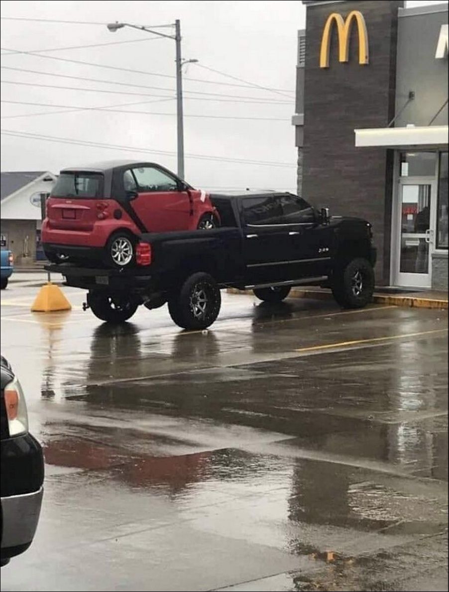 фото приколы