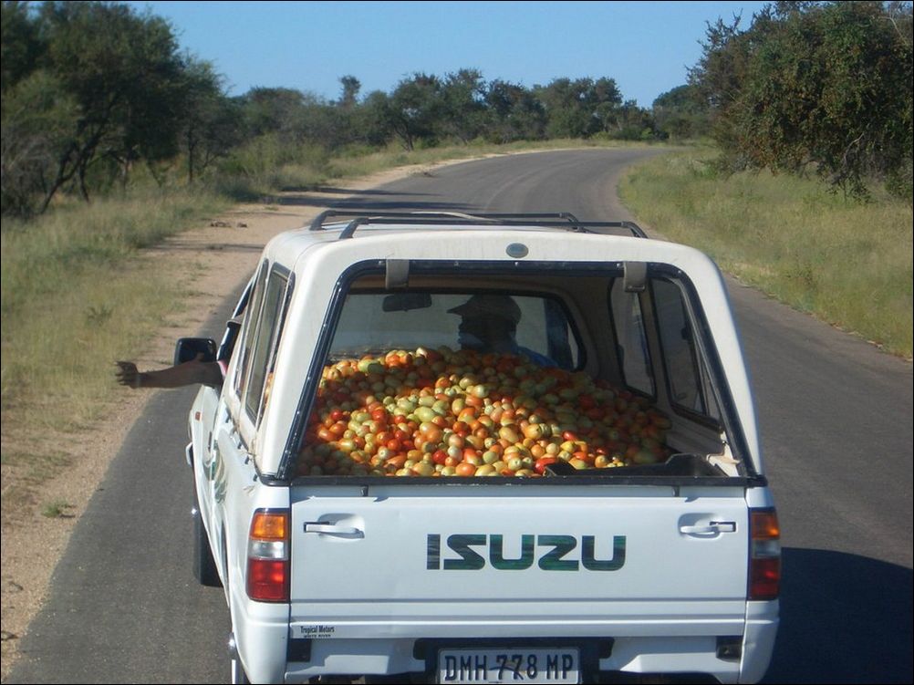 фото приколы