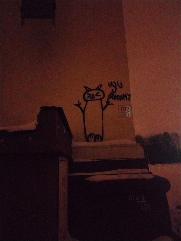 фото приколы