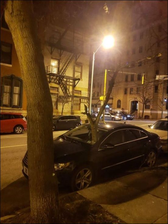 фото приколы