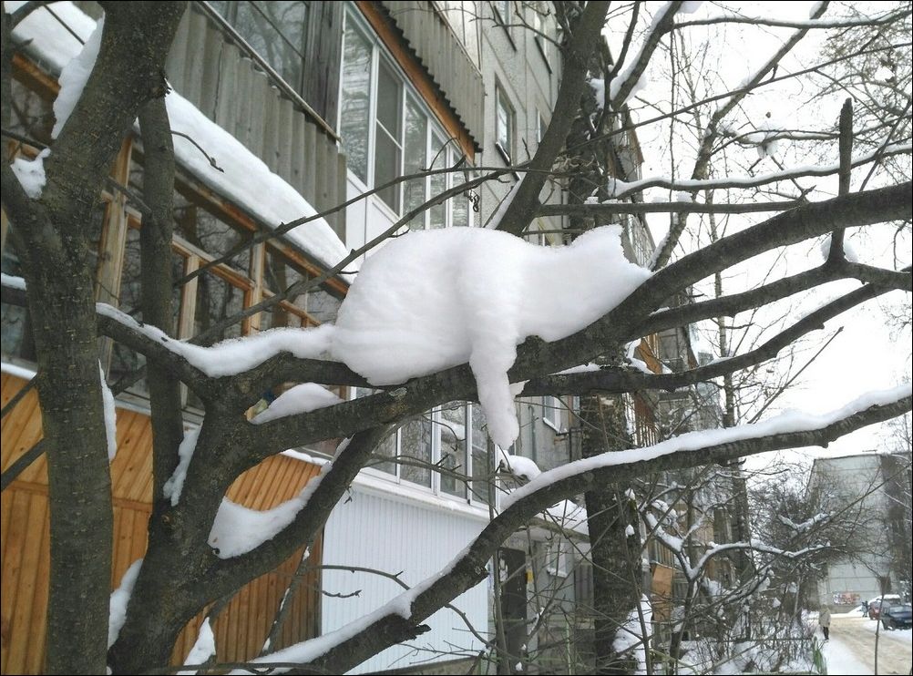 фото приколы