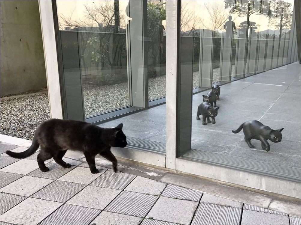 фото приколы