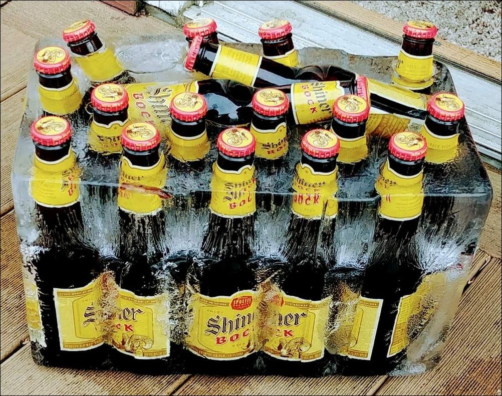 фото приколы