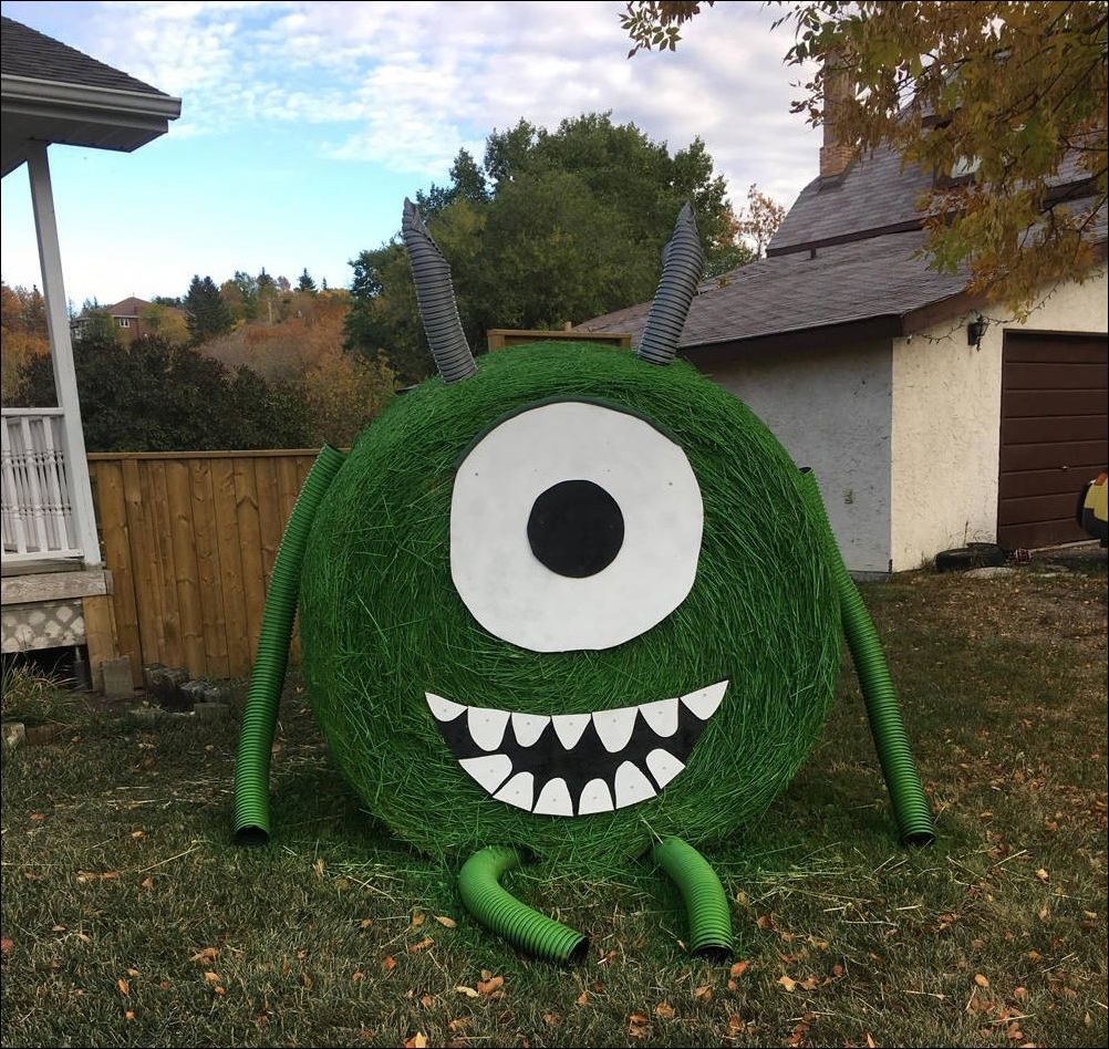 фото приколы