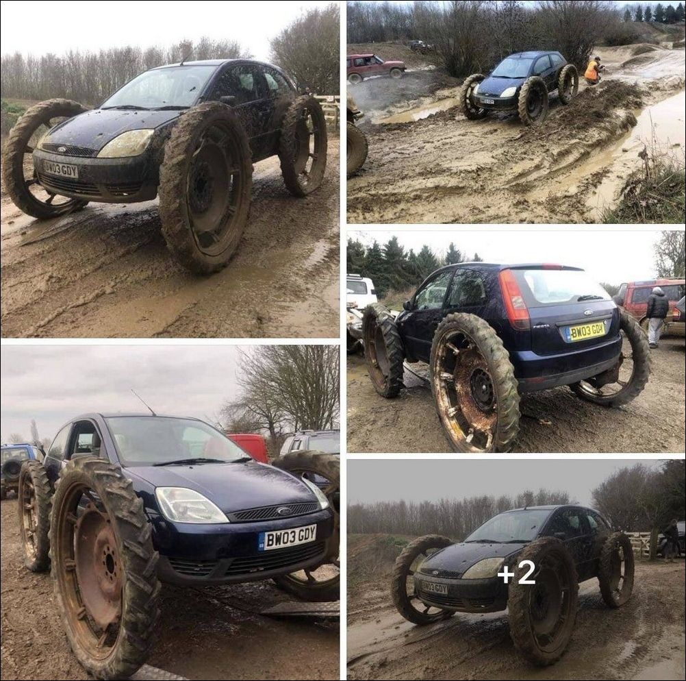 фото приколы