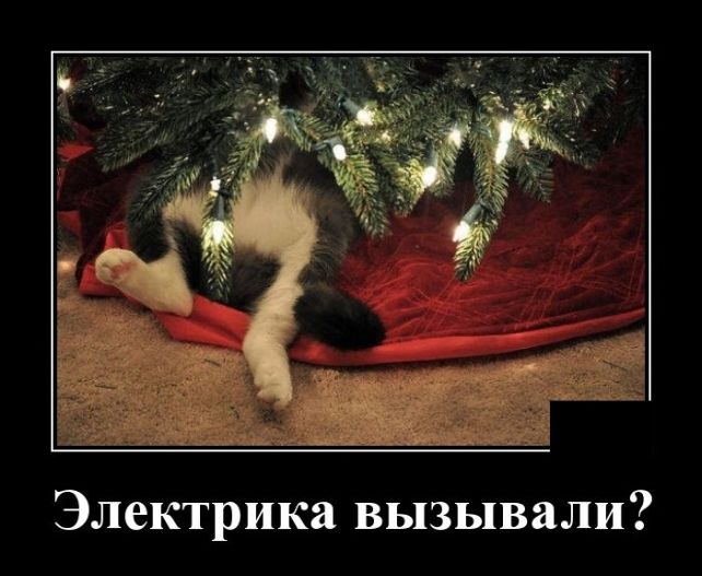 демотиватор