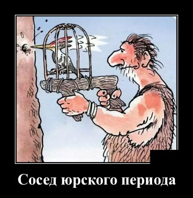 демотиватор